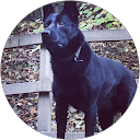 ian moran profile picture